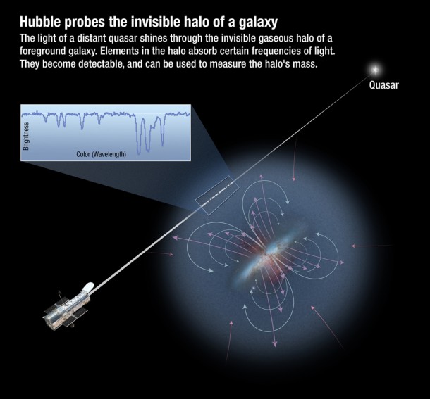 Distant quasars shine through the gas-rich "fog" of hot plasma encircling galaxies. At ultraviolet wavelengths, Hubble's Cosmic Origins Spectrograph (COS) is sensitive to absorption from many ionized heavy elements, such as nitrogen, oxygen, and neon. COS's high sensitivity allows many galaxies that happen to lie in front of the much more distant quasars. The ionized heavy elements serve as proxies for estimating how much mass is in a galaxy's halo. (Credit: NASA; ESA; A. Feild, STScI) Distant quasars shine through the gas-rich "fog" of hot plasma encircling galaxies. At ultraviolet wavelengths, Hubble's Cosmic Origins Spectrograph (COS) is sensitive to absorption from many ionized heavy elements, such as nitrogen, oxygen, and neon. COS's high sensitivity allows many galaxies that happen to lie in front of the much more distant quasars. The ionized heavy elements serve as proxies for estimating how much mass is in a galaxy's halo. (Credit: NASA; ESA; A. Feild, STScI)