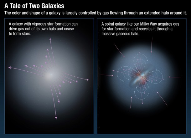 The color and shape of a galaxy is largely controlled by gas flowing through an extended halo around it. All modern simulations of galaxy formation find that they cannot explain the observed properties of galaxies without modeling the complex accretion and "feedback" processes by which galaxies acquire gas and then later expel it after chemical processing by stars. Hubble spectroscopic observations show that galaxies like our Milky Way recycle gas while galaxies undergoing a rapid starburst of activity will lose gas into intergalactic space and become "red and dead." (Credit: NASA; ESA; A. Feild, STScI) The color and shape of a galaxy is largely controlled by gas flowing through an extended halo around it. All modern simulations of galaxy formation find that they cannot explain the observed properties of galaxies without modeling the complex accretion and "feedback" processes by which galaxies acquire gas and then later expel it after chemical processing by stars. Hubble spectroscopic observations show that galaxies like our Milky Way recycle gas while galaxies undergoing a rapid starburst of activity will lose gas into intergalactic space and become "red and dead." (Credit: NASA; ESA; A. Feild, STScI)