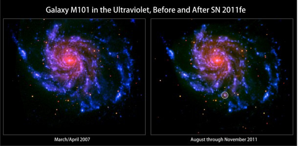 These images from Swift's Ultraviolet/Optical Telescope (UVOT) show the nearby spiral galaxy M101 before and after the appearance of SN 2011fe (circled, right), which was discovered on Aug. 24, 2011. At a distance of 21 million light-years, it was the nearest Type Ia supernova since 1986 but appeared too late for inclusion in the published studies. Left: View constructed from images taken in March and April 2007. Right: The supernova was so bright that most UVOT exposures were short, so this view includes imagery from August through November 2011 to better show the galaxy. Credit: NASA/Swift/Peter Brown, Univ. of Utah These images from Swift's Ultraviolet/Optical Telescope (UVOT) show the nearby spiral galaxy M101 before and after the appearance of SN 2011fe (circled, right), which was discovered on Aug. 24, 2011. At a distance of 21 million light-years, it was the nearest Type Ia supernova since 1986 but appeared too late for inclusion in the published studies. Left: View constructed from images taken in March and April 2007. Right: The supernova was so bright that most UVOT exposures were short, so this view includes imagery from August through November 2011 to better show the galaxy. Credit: NASA/Swift/Peter Brown, Univ. of Utah