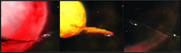 Three types of systems, illustrated here, may host Type Ia supernovae. The first two panels depict a white dwarf in a binary system accumulating matter transferred from a red supergiant companion many times the sun's mass (left) or similar to the sun (middle). The transferred matter is thought to accumulate on the white dwarf and ultimately cause it to explode. Swift data on dozens of supernovae essentially eliminate the first model. Mounting evidence suggests that some Type Ia supernovae occur when binary white dwarfs (right) merge and collide. Credit: NASA/Swift/ Aurore Simonnet, Sonoma State Univ. Three types of systems, illustrated here, may host Type Ia supernovae. The first two panels depict a white dwarf in a binary system accumulating matter transferred from a red supergiant companion many times the sun's mass (left) or similar to the sun (middle). The transferred matter is thought to accumulate on the white dwarf and ultimately cause it to explode. Swift data on dozens of supernovae essentially eliminate the first model. Mounting evidence suggests that some Type Ia supernovae occur when binary white dwarfs (right) merge and collide. Credit: NASA/Swift/ Aurore Simonnet, Sonoma State Univ.