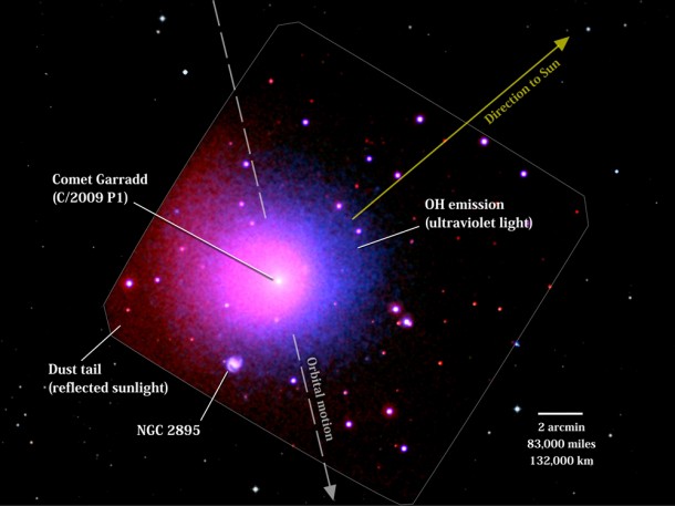 Swift's UVOT acquired this image of Comet Garradd (C/2009 P1) on April 1, 2012, when the comet was 142 million miles away, or 636 times farther than the moon. Red shows sunlight reflected from the comet's dust; violet shows ultraviolet light produced by hydroxyl (OH), a fragment of water. NGC 2895 is a barred spiral galaxy located 400 million miles away in the constellation Ursa Major. The UVOT image (outlined) is placed within a wider visible image of the region from the Digital Sky Survey. Credit: NASA/Swift/D. Bodewits (UMD) and S. Immler (GSFC) and DSS/STScI/AURA Swift's UVOT acquired this image of Comet Garradd (C/2009 P1) on April 1, 2012, when the comet was 142 million miles away, or 636 times farther than the moon. Red shows sunlight reflected from the comet's dust; violet shows ultraviolet light produced by hydroxyl (OH), a fragment of water. NGC 2895 is a barred spiral galaxy located 400 million miles away in the constellation Ursa Major. The UVOT image (outlined) is placed within a wider visible image of the region from the Digital Sky Survey. Credit: NASA/Swift/D. Bodewits (UMD) and S. Immler (GSFC) and DSS/STScI/AURA
