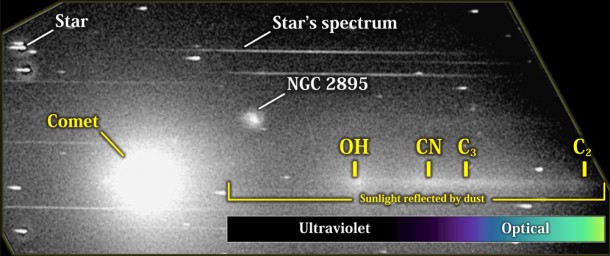 The UVOT grism produces images that separate incoming light from ultraviolet and visible sources by wavelength. Molecules produce separate images at discrete wavelengths: hydroxyl (OH) at 308 nm, just beyond the visual range; CN and C3 produce purple light at 387 and 406 nm, respectively. C2 emission at 500 nm is responsible for the dominant green color that characterizes many comets. Comet dust, which reflects sunlight, instead produces a broad, continuous swath. Credit: NASA/Swift/D. Bodewits (UMD) and S. Immler (GSFC) The UVOT grism produces images that separate incoming light from ultraviolet and visible sources by wavelength. Molecules produce separate images at discrete wavelengths: hydroxyl (OH) at 308 nm, just beyond the visual range; CN and C3 produce purple light at 387 and 406 nm, respectively. C2 emission at 500 nm is responsible for the dominant green color that characterizes many comets. Comet dust, which reflects sunlight, instead produces a broad, continuous swath. Credit: NASA/Swift/D. Bodewits (UMD) and S. Immler (GSFC)