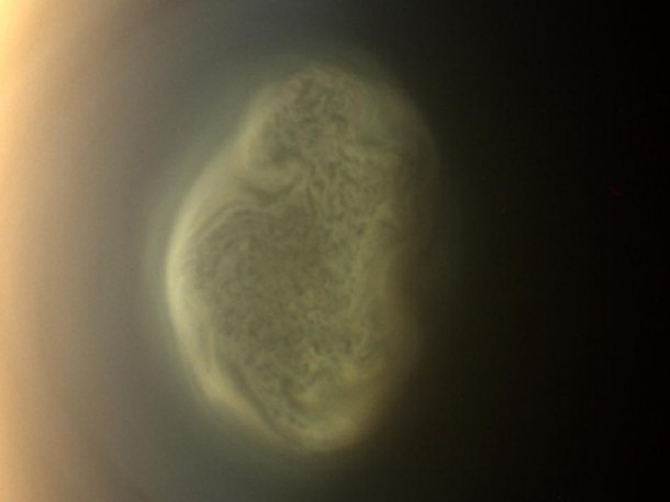 This true color image captured by NASA'S Cassini spacecraft before a distant flyby of Saturn's moon Titan on June 27, 2012, shows a south polar vortex, or a mass of swirling gas around the pole in the atmosphere of the moon. Image credit: NASA/JPL-Caltech/Space Science Institute This true color image captured by NASA'S Cassini spacecraft before a distant flyby of Saturn's moon Titan on June 27, 2012, shows a south polar vortex, or a mass of swirling gas around the pole in the atmosphere of the moon. Image credit: NASA/JPL-Caltech/Space Science Institute