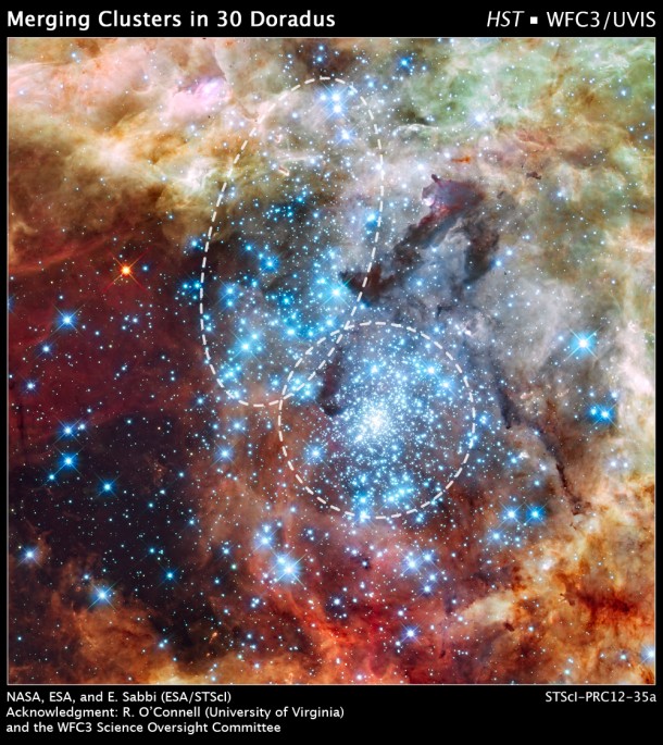 Image Credit: NASA, ESA, and E. Sabbi (ESA/STScI) Acknowledgment: R. O'Connell (University of Virginia) and the Wide Field Camera 3 Science Oversight Committee Image Credit: NASA, ESA, and E. Sabbi (ESA/STScI) Acknowledgment: R. O'Connell (University of Virginia) and the Wide Field Camera 3 Science Oversight Committee