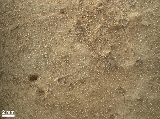 This image from the Mars Hand Lens Imager (MAHLI) on NASA's Mars rover Curiosity shows details of rock texture and color in an area where the rover's Dust Removal Tool (DRT) brushed away dust that was on the rock. This rock target, "Ekwir_1" was brushed and this image was recorded on the same Martian day, or sol, Sol 150 of Curiosity's mission on Mars (Jan. 6, 2013.)Image Credit: NASA/JPL-Caltech/MSSS This image from the Mars Hand Lens Imager (MAHLI) on NASA's Mars rover Curiosity shows details of rock texture and color in an area where the rover's Dust Removal Tool (DRT) brushed away dust that was on the rock. This rock target, "Ekwir_1" was brushed and this image was recorded on the same Martian day, or sol, Sol 150 of Curiosity's mission on Mars (Jan. 6, 2013.)Image Credit: NASA/JPL-Caltech/MSSS