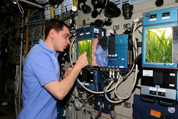 Some of the research on the International Space Station is already focusing on meeting the needs of long-term spaceflights beyond low-Earth orbit. During Expedition 29 in 2011, Russian cosmonaut Sergei Volkov checks the progress of new growth in the Rastenia investigation aboard the space station. (NASA) Some of the research on the International Space Station is already focusing on meeting the needs of long-term spaceflights beyond low-Earth orbit. During Expedition 29 in 2011, Russian cosmonaut Sergei Volkov checks the progress of new growth in the Rastenia investigation aboard the space station. (NASA)