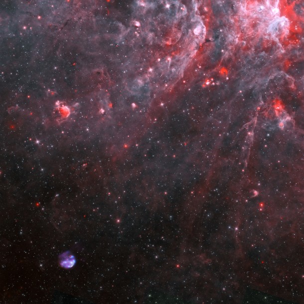 A wider view places G306.3–0.9 in context with star-formation regions in southern Centaurus. Chandra X-ray observations (blue), Spitzer infrared data (red, cyan), and radio observations (purple) from the Australia Telescope Compact Array are merged in this composite. The image is one degree across, which corresponds to 450 light-years at the remnant's estimated distance. Credit: X-ray: NASA/CXC/Univ. of Michigan/M. Reynolds et al; Infrared: NASA/JPL-Caltech; Radio: CSIRO/ATNF/ATCA A wider view places G306.3–0.9 in context with star-formation regions in southern Centaurus. Chandra X-ray observations (blue), Spitzer infrared data (red, cyan), and radio observations (purple) from the Australia Telescope Compact Array are merged in this composite. The image is one degree across, which corresponds to 450 light-years at the remnant's estimated distance. Credit: X-ray: NASA/CXC/Univ. of Michigan/M. Reynolds et al; Infrared: NASA/JPL-Caltech; Radio: CSIRO/ATNF/ATCA