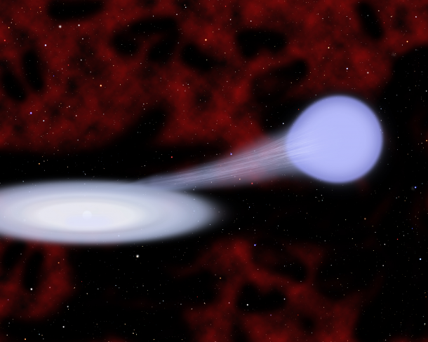 This artist's conception shows the suspected progenitor of a new kind of supernova called Type Iax. Material from a hot, blue helium star at right is funneling toward a carbon/oxygen white dwarf star at left, which is embedded in an accretion disk. In many cases the white dwarf survives the subsequent explosion. Credit: Christine Pulliam (CfA) This artist's conception shows the suspected progenitor of a new kind of supernova called Type Iax. Material from a hot, blue helium star at right is funneling toward a carbon/oxygen white dwarf star at left, which is embedded in an accretion disk. In many cases the white dwarf survives the subsequent explosion. Credit: Christine Pulliam (CfA)