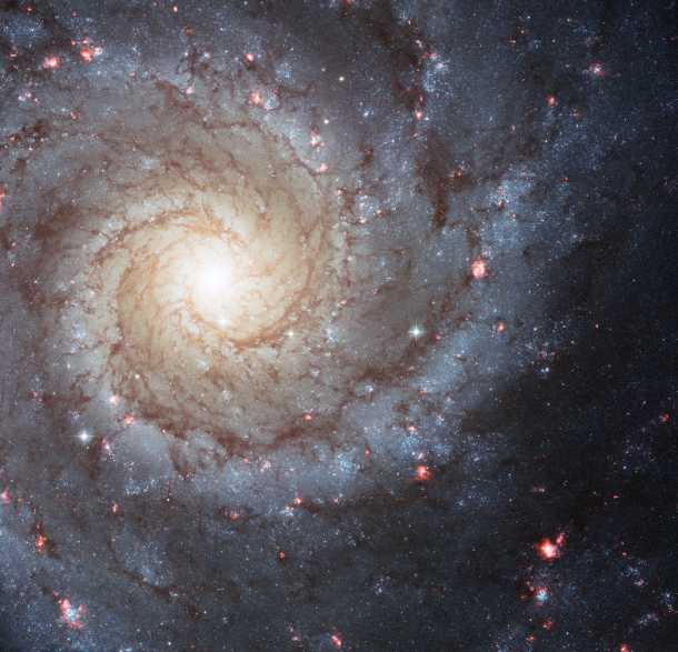 This Hubble Space Telescope photo of Messier 74 reminds us that spiral galaxies are some of the most beautiful and photogenic residents of the universe. Nearly 70 percent of the galaxies closest to the Milky Way are spirals. New research finds that spiral arms are self-perpetuating, persistent, and surprisingly long lived. Credit: NASA/ESA/Hubble Heritage Team This Hubble Space Telescope photo of Messier 74 reminds us that spiral galaxies are some of the most beautiful and photogenic residents of the universe. Nearly 70 percent of the galaxies closest to the Milky Way are spirals. New research finds that spiral arms are self-perpetuating, persistent, and surprisingly long lived. Credit: NASA/ESA/Hubble Heritage Team