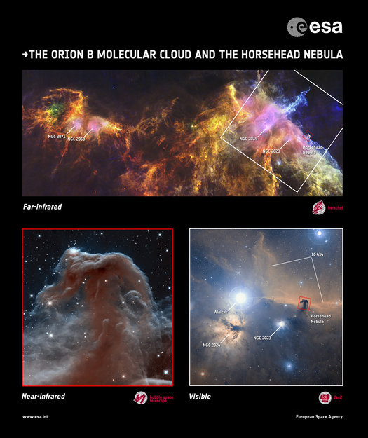 Zooming in on the Horsehead. Copyright Herschel: ESA/Herschel/PACS, SPIRE/N. Schneider, Ph. André, V. Könyves (CEA Saclay, France) for the “Gould Belt survey” Key Programme, N. Schneider, Ph. André, V. Könyves (CEA Saclay); Hubble: NASA, ESA, and the Hubble Heritage Team (AURA/STScI); DSS2: ESO/Digitized Sky Survey 2, D. De Martin Zooming in on the Horsehead. Copyright Herschel: ESA/Herschel/PACS, SPIRE/N. Schneider, Ph. André, V. Könyves (CEA Saclay, France) for the “Gould Belt survey” Key Programme, N. Schneider, Ph. André, V. Könyves (CEA Saclay); Hubble: NASA, ESA, and the Hubble Heritage Team (AURA/STScI); DSS2: ESO/Digitized Sky Survey 2, D. De Martin