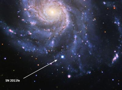 Supernova 2011fe was discovered by the Palomar Transient Observatory just hours after it exploded in the Big Dipper. Studies by the Nearby Supernova Factory of its colors and spectrum as they evolved over time have produced a benchmark atlas of data by which to measure all future Type Ia's. Credit: (Detail of image by B. J. Fulton, Las Cumbres Observatory Global Telescope Network.) Supernova 2011fe was discovered by the Palomar Transient Observatory just hours after it exploded in the Big Dipper. Studies by the Nearby Supernova Factory of its colors and spectrum as they evolved over time have produced a benchmark atlas of data by which to measure all future Type Ia's. Credit: (Detail of image by B. J. Fulton, Las Cumbres Observatory Global Telescope Network.)