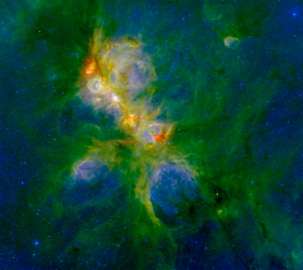This representative-color photo of NGC 6334 combines infrared data from the Herschel and Spitzer spacecraft and ground-based NEWFIRM instrument. Warm dust, illuminated by the high-mass stars that are scattered throughout the cloud complex, shows up in green. The red and orange spots mark the very massive young stars that are just forming within the nebula. The dark clouds, primarily at the upper left and lower right of the image, mark the densest areas where the next generation of stars will form. The hazy blue-white regions mark where the light emitted by the hot young stars is reflected back to us by the remaining dust and gas. In this photo red shows light at a wavelength of 70 microns, green is 8 microns, and blue is 1.2 microns. Credit: S. Willis (CfA); ESA/Herschel ; NASA/JPL-Caltech/SSC; CTIO/NOAO/AURA/NSF This representative-color photo of NGC 6334 combines infrared data from the Herschel and Spitzer spacecraft and ground-based NEWFIRM instrument. Warm dust, illuminated by the high-mass stars that are scattered throughout the cloud complex, shows up in green. The red and orange spots mark the very massive young stars that are just forming within the nebula. The dark clouds, primarily at the upper left and lower right of the image, mark the densest areas where the next generation of stars will form. The hazy blue-white regions mark where the light emitted by the hot young stars is reflected back to us by the remaining dust and gas. In this photo red shows light at a wavelength of 70 microns, green is 8 microns, and blue is 1.2 microns. Credit: S. Willis (CfA); ESA/Herschel ; NASA/JPL-Caltech/SSC; CTIO/NOAO/AURA/NSF