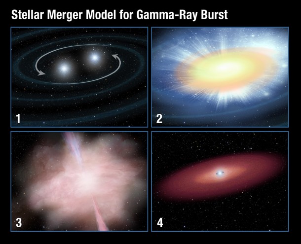 This sequence illustrates a model for the formation of a short-duration gamma-ray burst. 1. A pair of neutron stars in a binary system spiral together. Orbital momentum is dissipated through the release of gravity waves, which are tiny ripples in the fabric of space-time. 2. In the final milliseconds, as the two objects merge, they kick out highly radioactive material. This material heats up and expands, emitting a burst of light called a kilonova. An accompanying gamma-ray burst lasts just one-tenth of a second, but is 100 billion times brighter than the kilonova flash. 3. The fading fireball blocks visible light but radiates in infrared light. 4. A remnant disk of debris surrounds the merged object, which may have collapsed to form a black hole. Credit: NASA, ESA, and A. Field (STScI) This sequence illustrates a model for the formation of a short-duration gamma-ray burst. 1. A pair of neutron stars in a binary system spiral together. Orbital momentum is dissipated through the release of gravity waves, which are tiny ripples in the fabric of space-time. 2. In the final milliseconds, as the two objects merge, they kick out highly radioactive material. This material heats up and expands, emitting a burst of light called a kilonova. An accompanying gamma-ray burst lasts just one-tenth of a second, but is 100 billion times brighter than the kilonova flash. 3. The fading fireball blocks visible light but radiates in infrared light. 4. A remnant disk of debris surrounds the merged object, which may have collapsed to form a black hole. Credit: NASA, ESA, and A. Field (STScI)