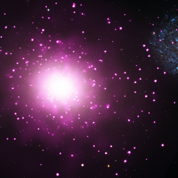 This composite image shows M60 and the region around it, where data from NASA's Chandra X-ray Observatory are pink and data from NASA's Hubble Space Telescope (HST) are red, green and blue. The Chandra image shows hot gas and double stars containing black holes and neutron stars and the HST image reveals stars in M60 and neighboring galaxies including M60-UCD1. The inset is a close-up view of M60-UCD1 in an HST image. Image credit: X-ray: NASA/CXC/MSU/J.Strader et al, Optical: NASA/STScI This composite image shows M60 and the region around it, where data from NASA's Chandra X-ray Observatory are pink and data from NASA's Hubble Space Telescope (HST) are red, green and blue. The Chandra image shows hot gas and double stars containing black holes and neutron stars and the HST image reveals stars in M60 and neighboring galaxies including M60-UCD1. The inset is a close-up view of M60-UCD1 in an HST image. Image credit: X-ray: NASA/CXC/MSU/J.Strader et al, Optical: NASA/STScI