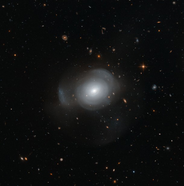The beautiful, petal-like shells of galaxy PGC 6240 are captured here in intricate detail by the NASA/ESA Hubble Space Telescope, set against a sky full of distant background galaxies. PGC 6240 is an elliptical galaxy approximately 350 000 000 light years away in the southern constellation of Hydrus (The Water Snake). It is orbited by a number of globular clusters that contain both young and old stars — thought to be a result of a galactic merger in the recent past. Credit: ESA/Hubble & NASA Acknowledgement: Judy Schmidt The beautiful, petal-like shells of galaxy PGC 6240 are captured here in intricate detail by the NASA/ESA Hubble Space Telescope, set against a sky full of distant background galaxies. PGC 6240 is an elliptical galaxy approximately 350 000 000 light years away in the southern constellation of Hydrus (The Water Snake). It is orbited by a number of globular clusters that contain both young and old stars — thought to be a result of a galactic merger in the recent past. Credit: ESA/Hubble & NASA Acknowledgement: Judy Schmidt