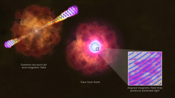 Measurements of polarized light in the afterglow of GRB 120308A by the Liverpool Telescope and its RINGO2 instrument indicate the presence of a large-scale stable magnetic field linked with a young black hole, as shown in this illustration. Image Credit: NASA's Goddard Space Flight Center/S. Wiessinger Measurements of polarized light in the afterglow of GRB 120308A by the Liverpool Telescope and its RINGO2 instrument indicate the presence of a large-scale stable magnetic field linked with a young black hole, as shown in this illustration. Image Credit: NASA's Goddard Space Flight Center/S. Wiessinger