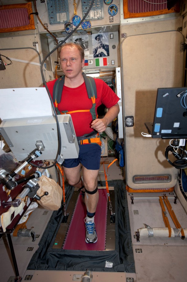 Expedition 38 commander Oleg Kotov, equipped with a bungee harness, exercises on the space station's Treadmill Vibration Isolation System in the Zvezda Service Module on Oct. 26, 2013. Image Credit: NASA Expedition 38 commander Oleg Kotov, equipped with a bungee harness, exercises on the space station's Treadmill Vibration Isolation System in the Zvezda Service Module on Oct. 26, 2013. Image Credit: NASA