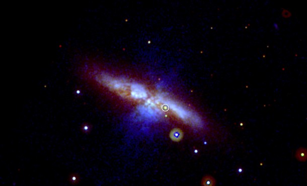 Swift's UVOT captured the new supernova (circled) in three exposures taken on Jan. 22, 2014. Mid-ultraviolet light is shown in blue, near-UV light in green, and visible light in red. Thick dust in M82 scatters much of the highest-energy light, which is why the supernova appears yellowish here. The image is 17 arcminutes across, or slightly more than half the apparent diameter of a full moon. Credit: NASA/Swift/P. Brown, TAMU Swift's UVOT captured the new supernova (circled) in three exposures taken on Jan. 22, 2014. Mid-ultraviolet light is shown in blue, near-UV light in green, and visible light in red. Thick dust in M82 scatters much of the highest-energy light, which is why the supernova appears yellowish here. The image is 17 arcminutes across, or slightly more than half the apparent diameter of a full moon. Credit: NASA/Swift/P. Brown, TAMU