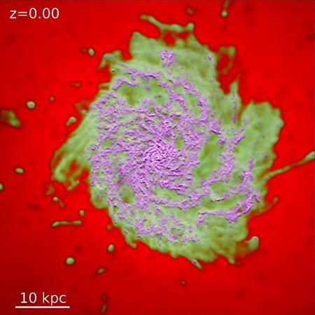 A still image from the FIRE simulation videos, showing the gases in a galaxy. Magenta is cold molecular/atomic gas, which forms stars; green is warm ionized gas, most of which cools into a galaxy; red is 'hot' gas, which makes up the galaxy halo. Credit: Philip Hopkins/Caltech A still image from the FIRE simulation videos, showing the gases in a galaxy. Magenta is cold molecular/atomic gas, which forms stars; green is warm ionized gas, most of which cools into a galaxy; red is 'hot' gas, which makes up the galaxy halo. Credit: Philip Hopkins/Caltech