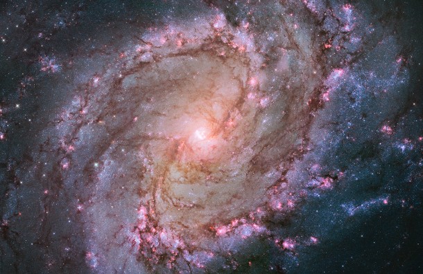 This Hubble mosaic of the spiral galaxy M83 or Southern Pinwheel, lies 15 million light-years away in the constellation Hydra. It contains thousands of star clusters, hundreds of thousands of individual stars, and "ghosts" of dead stars called supernova remnants. Image Credit: NASA, ESA/HHT/STScI/AURA/W.Blair, JHU/R.O'Connell, UV This Hubble mosaic of the spiral galaxy M83 or Southern Pinwheel, lies 15 million light-years away in the constellation Hydra. It contains thousands of star clusters, hundreds of thousands of individual stars, and "ghosts" of dead stars called supernova remnants. Image Credit: NASA, ESA/HHT/STScI/AURA/W.Blair, JHU/R.O'Connell, UV