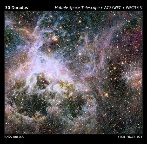 This huge Hubble Space Telescope mosaic, spanning a width of 600 light-years, shows a star factory of more the 800,000 stars being born. The stars are embedded inside the Tarantula Nebula. Image Credit: NASA, ESA, and E. Sabbi/STScI This huge Hubble Space Telescope mosaic, spanning a width of 600 light-years, shows a star factory of more the 800,000 stars being born. The stars are embedded inside the Tarantula Nebula. Image Credit: NASA, ESA, and E. Sabbi/STScI
