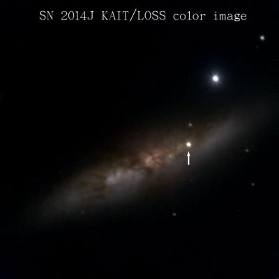 This image features a color composite of SN 2014J in the 'cigar galaxy' M82, 11.4 million light years away, made from KAIT images obtained through several different filters. The supernova is marked with an arrow. Other round objects are relatively nearby stars in our own Milky Way Galaxy. Credit: W. Zheng and A. Filippenko, University of California Berkeley This image features a color composite of SN 2014J in the 'cigar galaxy' M82, 11.4 million light years away, made from KAIT images obtained through several different filters. The supernova is marked with an arrow. Other round objects are relatively nearby stars in our own Milky Way Galaxy. Credit: W. Zheng and A. Filippenko, University of California Berkeley