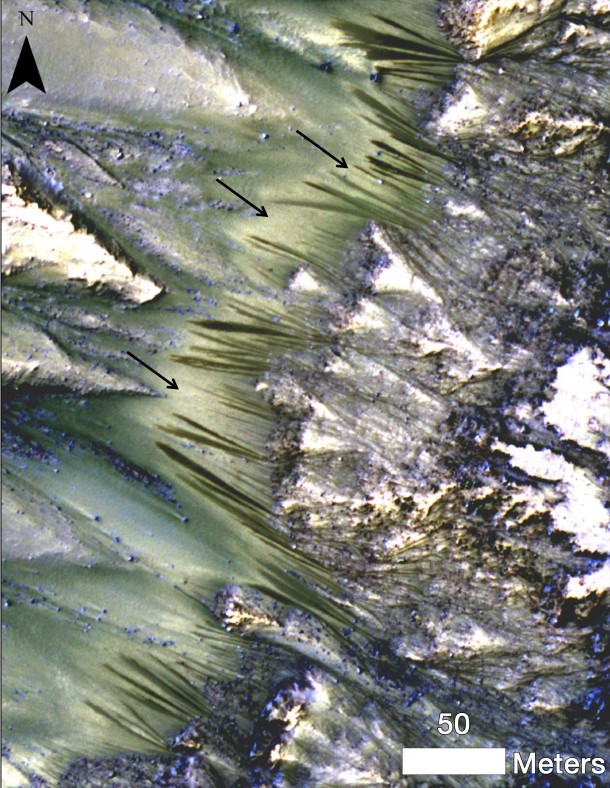 Dark, seasonal flows emanate from bedrock exposures at Palikir Crater on Mars in this image from the High Resolution Imaging Science Experiment (HiRISE) camera on NASA's Mars Reconnaissance Orbiter. Image Credit: NASA/JPL-Caltech/Univ. of Arizona Dark, seasonal flows emanate from bedrock exposures at Palikir Crater on Mars in this image from the High Resolution Imaging Science Experiment (HiRISE) camera on NASA's Mars Reconnaissance Orbiter. Image Credit: NASA/JPL-Caltech/Univ. of Arizona