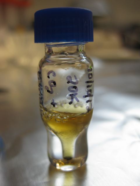 Residue from a laboratory experiment simulating the conditions of interstellar space. The residue contained vitamin B3 (and related compounds) and may help explain meteorite chemistry. Image Credit: Karen Smith Residue from a laboratory experiment simulating the conditions of interstellar space. The residue contained vitamin B3 (and related compounds) and may help explain meteorite chemistry. Image Credit: Karen Smith