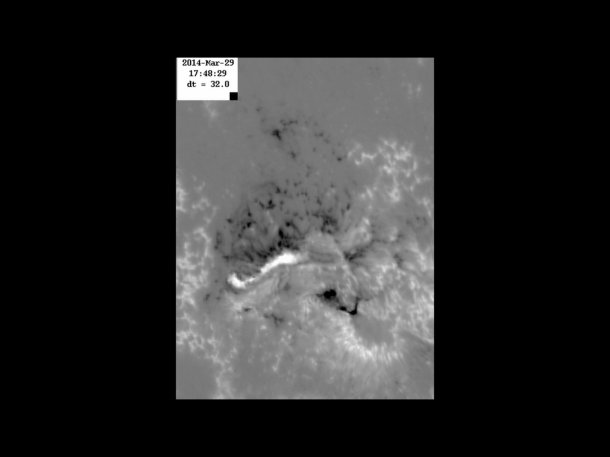 This image of the solar surface -- captured just as the flare peaked at 1:48 p.m. EDT, by the Solar Optical Telescope on the Japan Aerospace and Exploration Agency's and NASA's Hinode spacecraft – is what's called a magnetogram. The dark spots show where magnetic field lines travel in to the sun and the light regions show where they travel out. The intense white line on the left and the lower dark U-shape on the right, represent the footprints of the flare. Using these magnetograms, researchers were able to map the magnetic field's strength and direction change just before a flare in one of the highest resolution and best data sets ever gathered. Credit: JAXA/NASA/Hinode This image of the solar surface -- captured just as the flare peaked at 1:48 p.m. EDT, by the Solar Optical Telescope on the Japan Aerospace and Exploration Agency's and NASA's Hinode spacecraft – is what's called a magnetogram. The dark spots show where magnetic field lines travel in to the sun and the light regions show where they travel out. The intense white line on the left and the lower dark U-shape on the right, represent the footprints of the flare. Using these magnetograms, researchers were able to map the magnetic field's strength and direction change just before a flare in one of the highest resolution and best data sets ever gathered. Credit: JAXA/NASA/Hinode