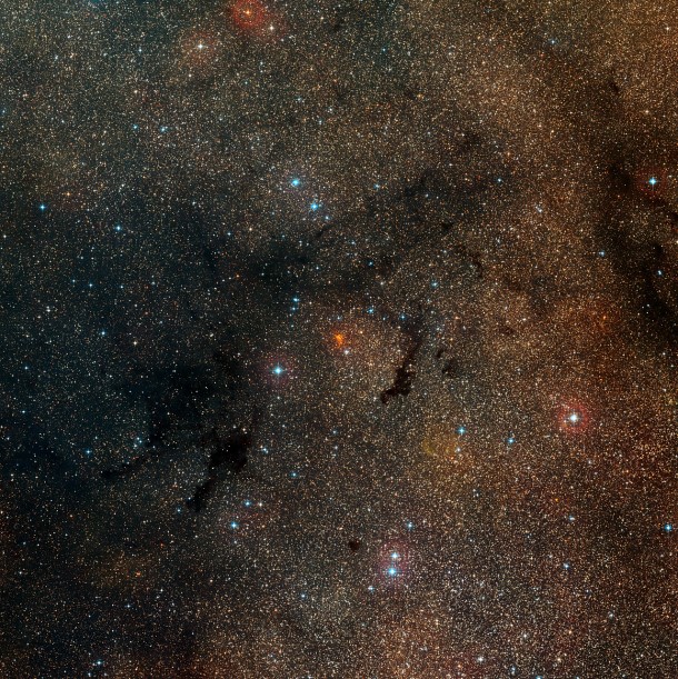 This wide-field view from the Digitized Sky Survey 2 is centred on the star cluster Westerlund 1 in the constellation of Ara (The Altar). This cluster appears as a dense orange clump at the centre of the picture. It is very young and contains massive and brilliant hot blue stars, but their light is much reduced and reddened by a dense cloud of dust between the cluster and the Earth. This is a very rich part of the Milky Way and huge numbers of stars, along with many dust clouds, can be seen. Credit: ESO/Digitized Sky Survey 2 Acknowledgment: Davide De Martin This wide-field view from the Digitized Sky Survey 2 is centred on the star cluster Westerlund 1 in the constellation of Ara (The Altar). This cluster appears as a dense orange clump at the centre of the picture. It is very young and contains massive and brilliant hot blue stars, but their light is much reduced and reddened by a dense cloud of dust between the cluster and the Earth. This is a very rich part of the Milky Way and huge numbers of stars, along with many dust clouds, can be seen. Credit: ESO/Digitized Sky Survey 2 Acknowledgment: Davide De Martin