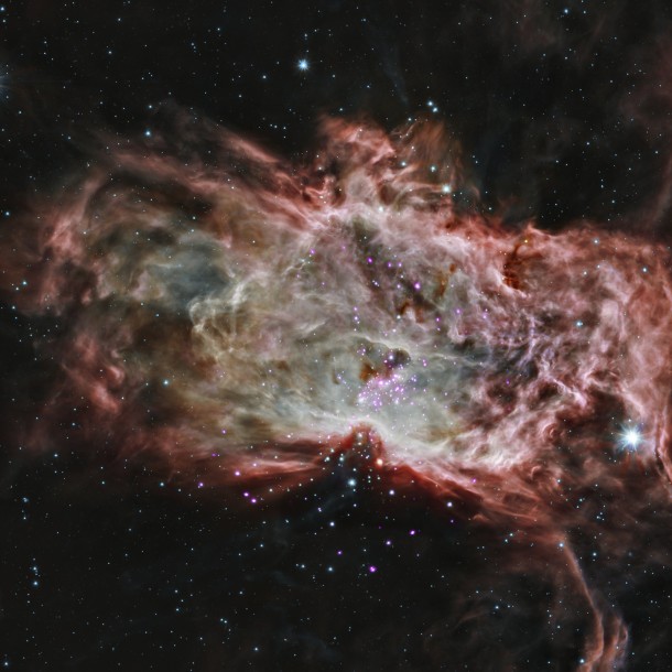 Composite image of the Flame Nebula. Image Credit: X-ray: NASA/CXC/PSU/K.Getman, E.Feigelson, M.Kuhn & the MYSt Composite image of the Flame Nebula. Image Credit: X-ray: NASA/CXC/PSU/K.Getman, E.Feigelson, M.Kuhn & the MYSt