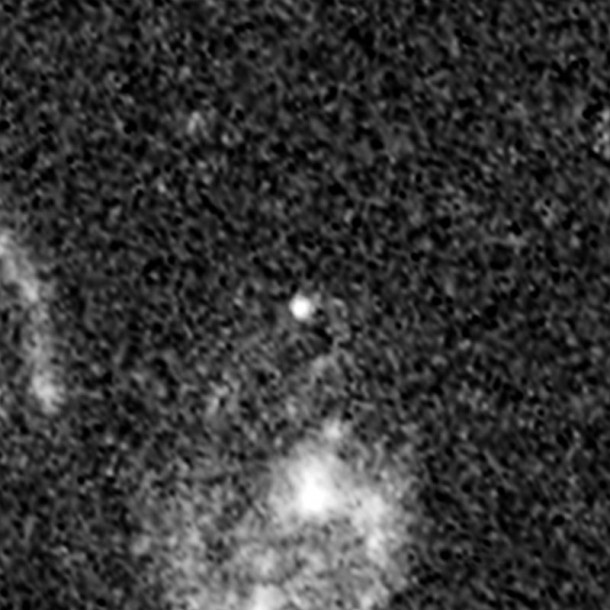 Supernova Tiberius (After Outburst). Credit: NASA, ESA, C. McCully (Rutgers University), A. Koekemoer (STScI), M. Postman (STScI), A. Riess (STScI/JHU), S. Perlmutter (UC Berkeley, LBNL), J. Nordin (NBNL, UC Berkeley), and D. Rubin (Florida State University) Supernova Tiberius (After Outburst). Credit: NASA, ESA, C. McCully (Rutgers University), A. Koekemoer (STScI), M. Postman (STScI), A. Riess (STScI/JHU), S. Perlmutter (UC Berkeley, LBNL), J. Nordin (NBNL, UC Berkeley), and D. Rubin (Florida State University)