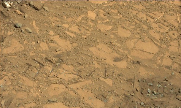 This Aug. 14, 2012, image from the Mastcam on NASA's Curiosity Mars rover shows an outcrop that includes the "Bonanza King" rock under consideration as a drilling target. Raised ridges on the flat rocks are visible at right. Tread marks from a rover wheel are in the lower half. Image Credit: NASA/JPL-Caltech/MSSS This Aug. 14, 2012, image from the Mastcam on NASA's Curiosity Mars rover shows an outcrop that includes the "Bonanza King" rock under consideration as a drilling target. Raised ridges on the flat rocks are visible at right. Tread marks from a rover wheel are in the lower half. Image Credit: NASA/JPL-Caltech/MSSS