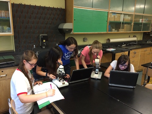Students from Berkeley Heights, New Jersey preparing for their research investigation that will launch to the International Space Station as part of the Student Spaceflight Experiment Program (SSEP) with the third Orbital commercial resupply mission. Image Credit: SSEP Students from Berkeley Heights, New Jersey preparing for their research investigation that will launch to the International Space Station as part of the Student Spaceflight Experiment Program (SSEP) with the third Orbital commercial resupply mission. Image Credit: SSEP