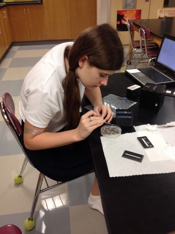 Julie, a student at Duchesne Academy of the Sacred Heart in Houston, transferring pre-germinated seeds in preparation for the NanoRacks-Duchesne-Plant Growth Chamber study. Image Credit: Kathy Duquesnay Julie, a student at Duchesne Academy of the Sacred Heart in Houston, transferring pre-germinated seeds in preparation for the NanoRacks-Duchesne-Plant Growth Chamber study. Image Credit: Kathy Duquesnay