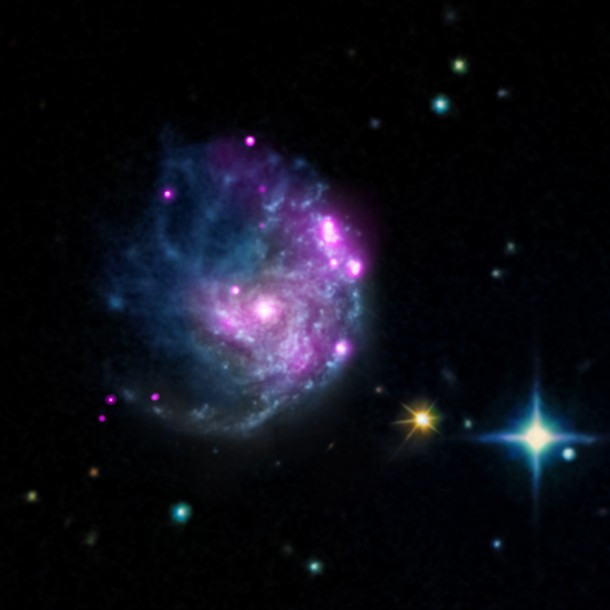 A newly discovered object in the galaxy NGC 2276 may prove to be an important black hole that helps fill in the evolutionary story of these exotic objects. Image Credit: X-ray: NASA/CXC/SAO/M.Mezcua et al & NASA/CXC/INAF/A.Wolter A newly discovered object in the galaxy NGC 2276 may prove to be an important black hole that helps fill in the evolutionary story of these exotic objects. Image Credit: X-ray: NASA/CXC/SAO/M.Mezcua et al & NASA/CXC/INAF/A.Wolter