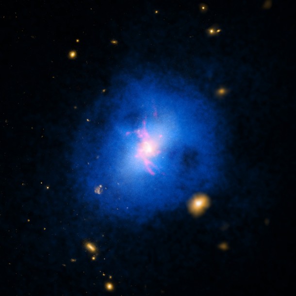 This galaxy cluster comes from a sample of over 200 that were studied to determine how giant black holes at their centers affect the growth and evolution of their host galaxy. Image Credit: NASA/CXC/Michigan State Univ/M.Voit et al This galaxy cluster comes from a sample of over 200 that were studied to determine how giant black holes at their centers affect the growth and evolution of their host galaxy. Image Credit: NASA/CXC/Michigan State Univ/M.Voit et al