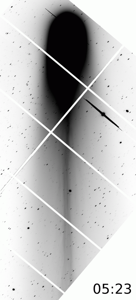 Figure 1:This GIF animation shows changes in the global structure of Comet Lovejoy's (C/2013 R1) plasma tail. There are three, 2-minute exposures taken in the I-band. The image is aligned so that the nucleus of the comet is at the same position and the tail lies vertically. The time stamp at the bottom right shows the start time of each exposure in Hawai'i time on the morning of December 4, 2013. Bright parts of the sky are shown as black, and dark parts are shown as white, allowing astronomers to see details in the object more clearly. The white tilted grid is a gap between CCD detectors. In the image, the tail narrows with time, especially downstream of the nucleus (which is at the bottom of the image). Moreover, two clumps were detected forming formed at about 0.3 million kilometers from the nucleus. They drifted toward downstream about 20 - 25 kilometers per second. (Credit: NAOJ) Figure 1:This GIF animation shows changes in the global structure of Comet Lovejoy's (C/2013 R1) plasma tail. There are three, 2-minute exposures taken in the I-band. The image is aligned so that the nucleus of the comet is at the same position and the tail lies vertically. The time stamp at the bottom right shows the start time of each exposure in Hawai'i time on the morning of December 4, 2013. Bright parts of the sky are shown as black, and dark parts are shown as white, allowing astronomers to see details in the object more clearly. The white tilted grid is a gap between CCD detectors. In the image, the tail narrows with time, especially downstream of the nucleus (which is at the bottom of the image). Moreover, two clumps were detected forming formed at about 0.3 million kilometers from the nucleus. They drifted toward downstream about 20 - 25 kilometers per second. (Credit: NAOJ)