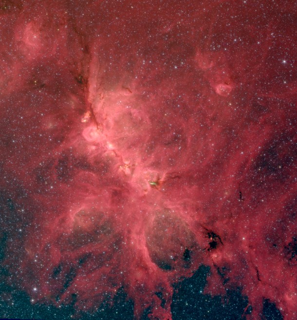 The Cat's Paw Nebula, also known as NGC 6334, comes alive in this infrared image from the Spitzer Space Telescope. A new study of this nebula finds that magnetic fields influence star formation on a variety of scales, from hundreds of light-years down to a fraction of a light-year. In this representative-color photo red shows light at a wavelength of 8 microns, green is 4.5 microns, and blue is 3.6 microns. S. Willis (CfA); NASA/JPL-Caltech/SSC The Cat's Paw Nebula, also known as NGC 6334, comes alive in this infrared image from the Spitzer Space Telescope. A new study of this nebula finds that magnetic fields influence star formation on a variety of scales, from hundreds of light-years down to a fraction of a light-year. In this representative-color photo red shows light at a wavelength of 8 microns, green is 4.5 microns, and blue is 3.6 microns. S. Willis (CfA); NASA/JPL-Caltech/SSC