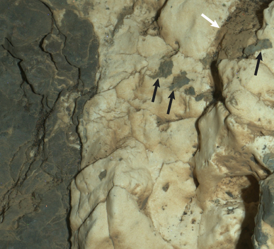 This view from the Mars Hand Lens Imager on the arm of NASA's Curiosity Mars rover is a close-up of a two-tone mineral vein at a site called "Garden City" on lower Mount Sharp. It was taken during night, illuminated by LEDs, on March 25, 2015. Image Credit: NASA/JPL-Caltech/MSSS This view from the Mars Hand Lens Imager on the arm of NASA's Curiosity Mars rover is a close-up of a two-tone mineral vein at a site called "Garden City" on lower Mount Sharp. It was taken during night, illuminated by LEDs, on March 25, 2015. Image Credit: NASA/JPL-Caltech/MSSS