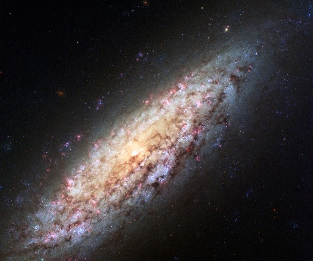 This NASA/ESA HUbble Space Telescope image shows galaxy NGC 6503. The galaxy, which lies 30 000 light-years away is at the edge of a strangely empty patch of space called the Local Void. This new image shows a very rich set of colours, adding to the detail seen in previous images. Credit: NASA, ESA This NASA/ESA HUbble Space Telescope image shows galaxy NGC 6503. The galaxy, which lies 30 000 light-years away is at the edge of a strangely empty patch of space called the Local Void. This new image shows a very rich set of colours, adding to the detail seen in previous images. Credit: NASA, ESA