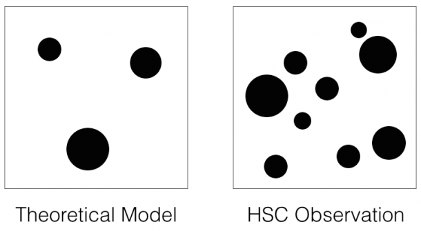 Figure 3: The data show a clear excess of dark matter concentrations over the current best theoretical model. Right: A schematic showing the dark matter concentrations discovered in the Hyper Suprime-Cam data. Left: A schematic showing predictions from current theoretical models. (Credit: NAOJ/HSC Project) Figure 3: The data show a clear excess of dark matter concentrations over the current best theoretical model. Right: A schematic showing the dark matter concentrations discovered in the Hyper Suprime-Cam data. Left: A schematic showing predictions from current theoretical models. (Credit: NAOJ/HSC Project)