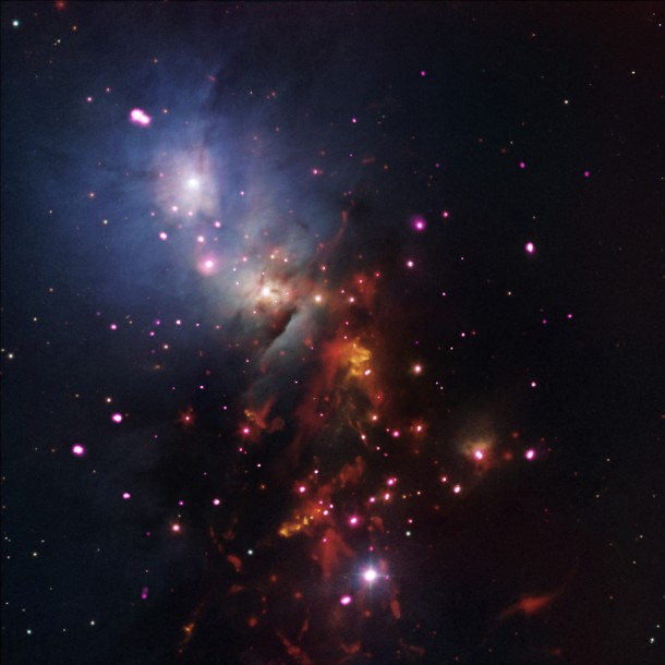 This new composite image of stellar cluster NGC 1333 combines X-rays from NASA's Chandra X-ray Observatory (pink); infrared data from NASA's Spitzer Space Telescope (red); and optical data from the Digitized Sky Survey and the National Optical Astronomical Observatories' Mayall 4-meter telescope on Kitt Peak near Tucson, Arizona. Image credit: NASA/CXC/JPL-Caltech/NOAO/DSS This new composite image of stellar cluster NGC 1333 combines X-rays from NASA's Chandra X-ray Observatory (pink); infrared data from NASA's Spitzer Space Telescope (red); and optical data from the Digitized Sky Survey and the National Optical Astronomical Observatories' Mayall 4-meter telescope on Kitt Peak near Tucson, Arizona. Image credit: NASA/CXC/JPL-Caltech/NOAO/DSS