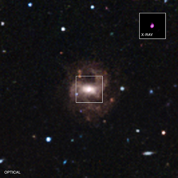 Credit: X-ray: NASA/CXC/Univ of Michigan/V.F.Baldassare, et al; Optical: SDSS; Illustration: NASA/CXC/M.Weiss Credit: X-ray: NASA/CXC/Univ of Michigan/V.F.Baldassare, et al; Optical: SDSS; Illustration: NASA/CXC/M.Weiss