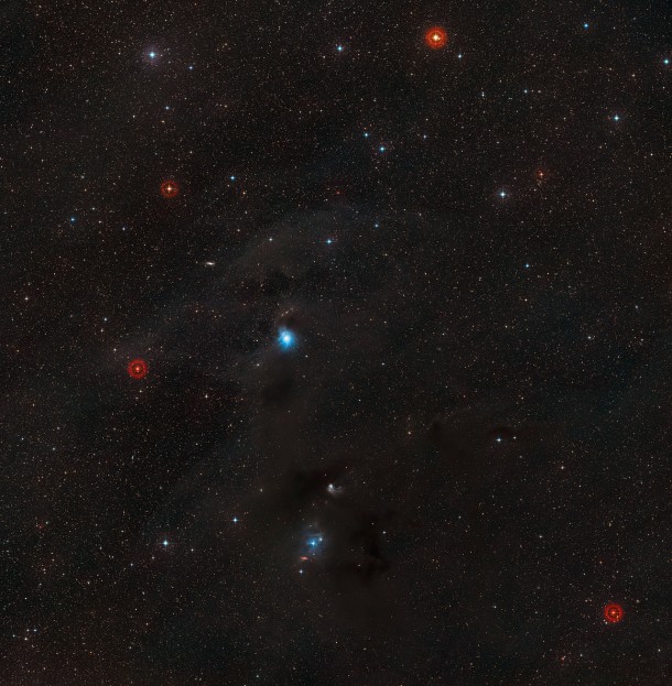 A newly formed star lights up the surrounding cosmic clouds to create the blue reflection nebula IC 2631 at the centre of this striking panorama of gas and dust clouds in the southern constellation of Chameleon. This picture was created from images forming part of the Digitized Sky Survey 2. Credit: ESO/Digitized Sky Survey 2 Acknowledgement: Davide De Martin A newly formed star lights up the surrounding cosmic clouds to create the blue reflection nebula IC 2631 at the centre of this striking panorama of gas and dust clouds in the southern constellation of Chameleon. This picture was created from images forming part of the Digitized Sky Survey 2. Credit: ESO/Digitized Sky Survey 2 Acknowledgement: Davide De Martin