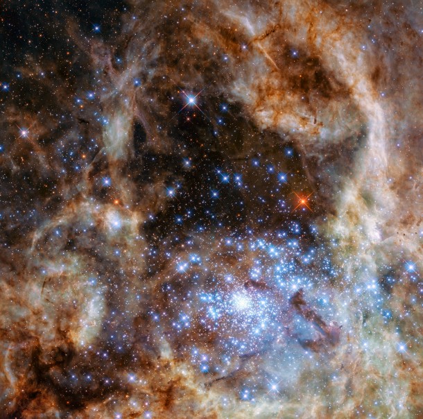 This Hubble image shows the central region of the Tarantula Nebula in the Large Magellanic Cloud. The young and dense star cluster R136 can be seen at the lower right of the image. This cluster contains hundreds of young blue stars, among them the most massive star detected in the universe so far. Credits: NASA, ESA, P Crowther (University of Sheffield) This Hubble image shows the central region of the Tarantula Nebula in the Large Magellanic Cloud. The young and dense star cluster R136 can be seen at the lower right of the image. This cluster contains hundreds of young blue stars, among them the most massive star detected in the universe so far. Credits: NASA, ESA, P Crowther (University of Sheffield)