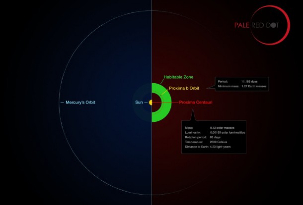 This infographic compares the orbit of the planet around Proxima Centauri (Proxima b) with the same region of the Solar System. Proxima Centauri is smaller and cooler than the Sun and the planet orbits much closer to its star than Mercury. As a result it lies well within the habitable zone, where liquid water can exist on the planet’s surface. Credit: ESO/M. Kornmesser/G. Coleman This infographic compares the orbit of the planet around Proxima Centauri (Proxima b) with the same region of the Solar System. Proxima Centauri is smaller and cooler than the Sun and the planet orbits much closer to its star than Mercury. As a result it lies well within the habitable zone, where liquid water can exist on the planet’s surface. Credit: ESO/M. Kornmesser/G. Coleman