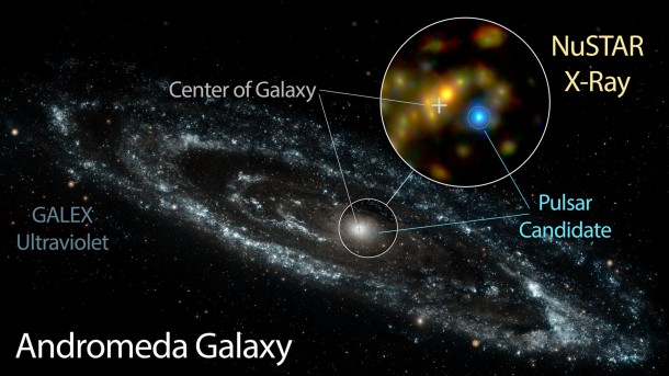 NASA's Nuclear Spectroscope Telescope Array, or NuSTAR, has identified a candidate pulsar in Andromeda -- the nearest large galaxy to the Milky Way. This likely pulsar is brighter at high energies than the Andromeda galaxy's entire black hole population. Image credit: NASA/JPL-Caltech/GSFC/JHU NASA's Nuclear Spectroscope Telescope Array, or NuSTAR, has identified a candidate pulsar in Andromeda -- the nearest large galaxy to the Milky Way. This likely pulsar is brighter at high energies than the Andromeda galaxy's entire black hole population. Image credit: NASA/JPL-Caltech/GSFC/JHU