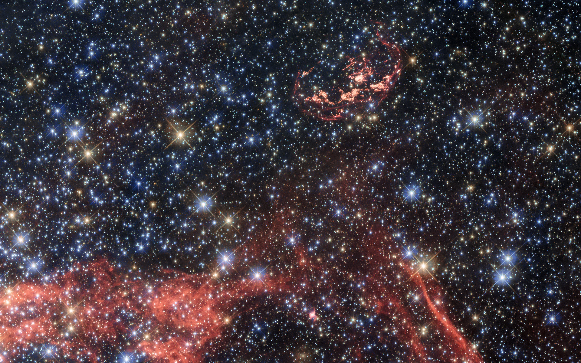Search for stellar survivor of a supernova explosion International