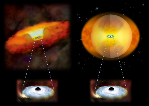 This illustration compares growing supermassive black holes in two different kinds of galaxies. A growing supermassive black hole in a normal galaxy would have a donut-shaped structure of gas and dust around it (left). In a merging galaxy, a sphere of material obscures the black hole (right). Credit: National Astronomical Observatory of Japan This illustration compares growing supermassive black holes in two different kinds of galaxies. A growing supermassive black hole in a normal galaxy would have a donut-shaped structure of gas and dust around it (left). In a merging galaxy, a sphere of material obscures the black hole (right). Credit: National Astronomical Observatory of Japan